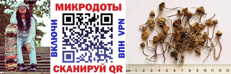 Галлюциногенные грибы Magic Shrooms  гидра как зайти  Сатка 